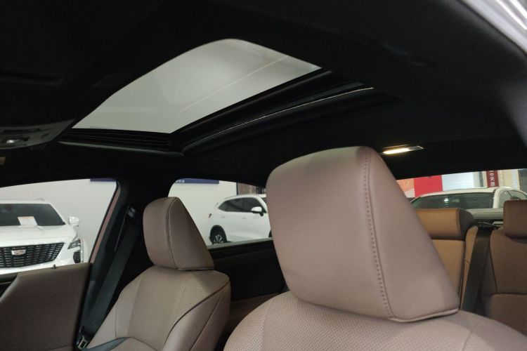 雷克萨斯ES 2021款 200 卓越版局部细节22