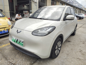 五菱汽车 五菱缤果 2023款 333km 悦享+款