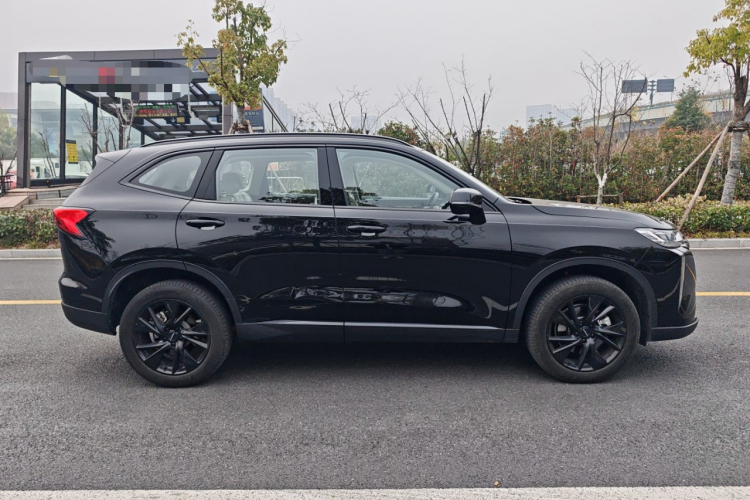 哈弗H6 2024款 2.0T 四驱Max车身外观6003