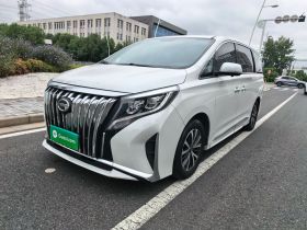 广汽传祺 传祺M8 2023款 领秀系列 390T 豪华版