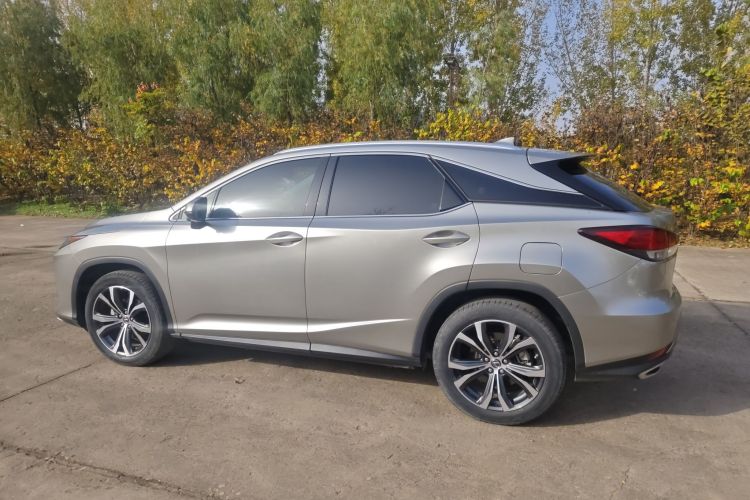 雷克萨斯RX 2020款 改款 300 四驱典雅版车身外观6005