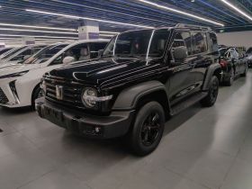 坦克300 2024款 2.0T 挑战者