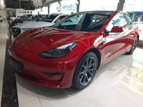 特斯拉 Model 3 2021款 标准续航后驱升级版