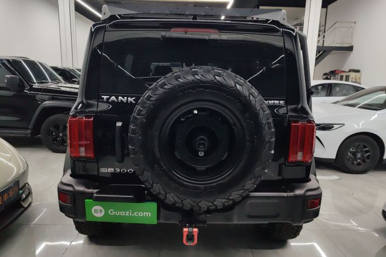 坦克300 2023款 2.0T 铁骑02车身外观6004