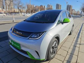 比亚迪 海豚 2021款 405km 时尚版