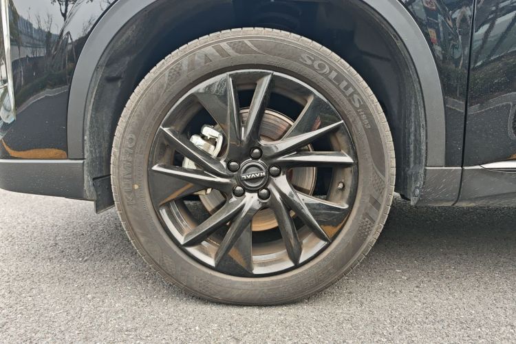 哈弗H6 2024款 2.0T 四驱Max车身外观6008