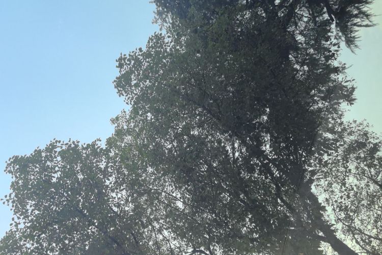 特斯拉 Model Y 2022款 改款 后轮驱动版局部细节22