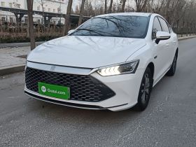 比亚迪 秦PLUS 2023款 冠军版 DM-i 55KM领先型