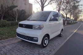 五菱汽车 宏光MINIEV 2022款 自在款 磷酸铁锂