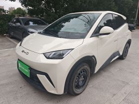 比亚迪 海鸥 2023款 活力版