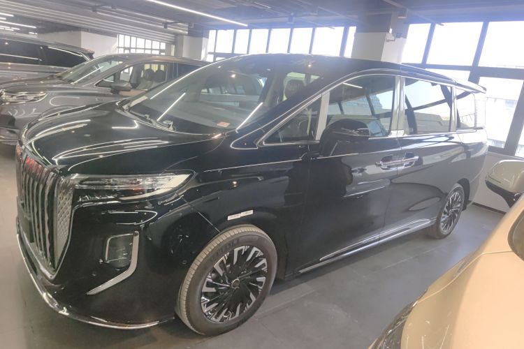 红旗HQ9 2024款 2.0T 豪华版福祉版车身外观6005