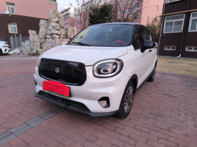 零跑汽车 零跑T03 2021款 400轻享版 三元锂