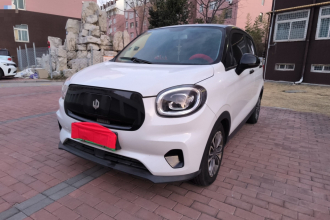 零跑汽车 零跑T03 2021款 400轻享版 三元锂