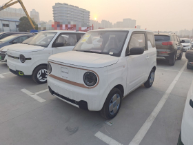 吉利银河 2024款 熊猫mini 200km 耐力熊