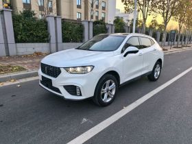 魏牌 VV5 2020款 1.5T 两驱颜先锋