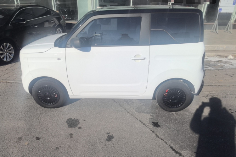 吉利银河 2024款 熊猫mini 200km 耐力熊车身外观6005