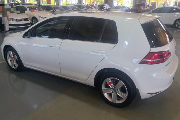 大众 高尔夫 2016款 1.6L 自动舒适型车身外观6002