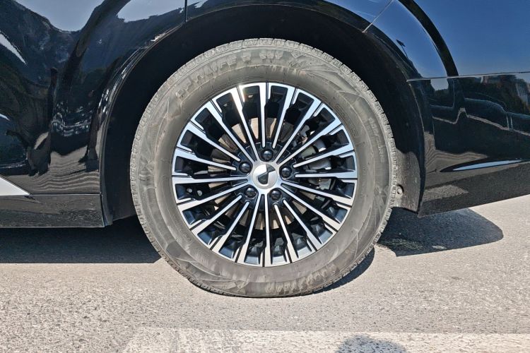 腾势D9 2022款 DM-i 970 四驱尊荣型车身外观6007