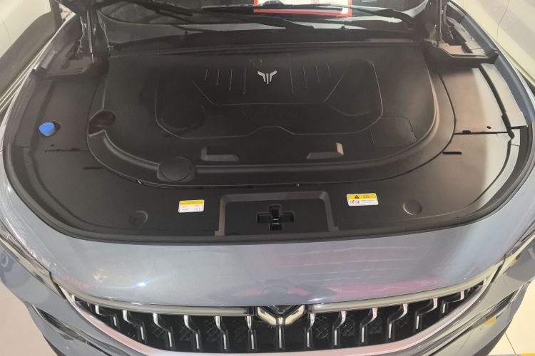 岚图汽车 岚图FREE 2021款 四驱标准增程专属豪华套装局部细节24