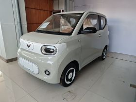 五菱汽车 宏光MINIEV 2024款 第三代 215km 青春版