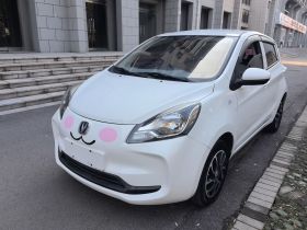 长安欧尚 奔奔E-Star 2021款 国民版 多彩款 磷酸铁锂（31.86kWh）