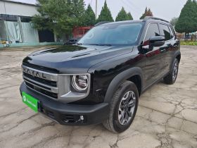 哈弗大狗 2024款 2.0T DCT中华田园犬版