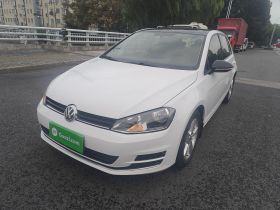 大众 高尔夫 2017款 230TSI 自动舒适百万辆纪念版