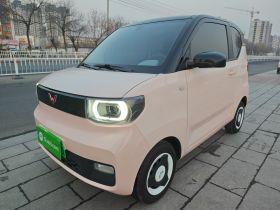 五菱汽车 宏光MINIEV 2021款 马卡龙臻享款 磷酸铁锂