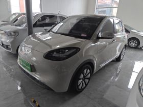 五菱汽车 五菱缤果 2023款 333km 悦享款