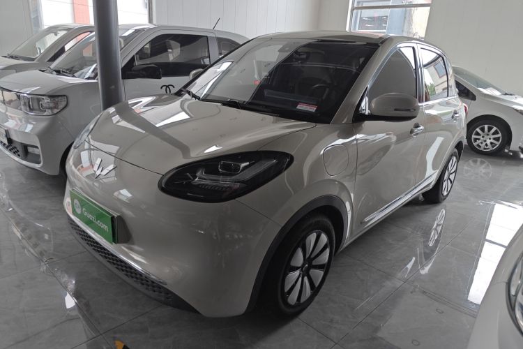 五菱汽车 五菱缤果 2023款 333km 悦享款车身外观1