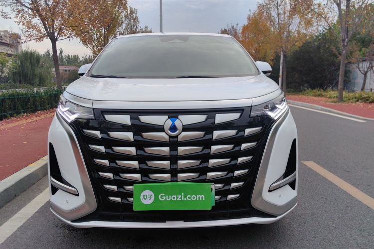 腾势D9 2022款 DM-i 1040 尊贵型车身外观6008