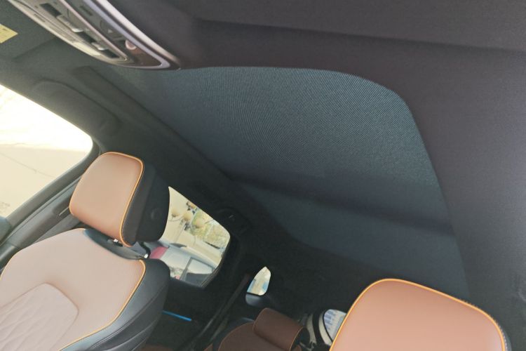 比亚迪 唐新能源 2021款 EV 四驱高性能版创世旗舰型局部细节22