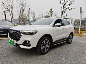 哈弗H6 2023款 国潮版 1.5T 自动冠军版