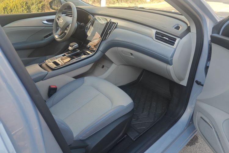 飞凡汽车 飞凡ER6 2020款 620km 智享版局部细节9002