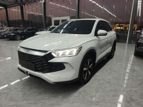 比亚迪 宋Pro新能源 2023款 冠军版 DM-i 71KM领先型