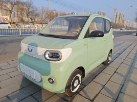 五菱汽车 宏光MINIEV 2024款 第三代 215km 青春版