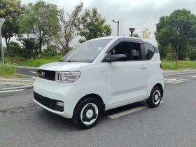 五菱汽车 宏光MINIEV 2022款 轻松款 三元锂