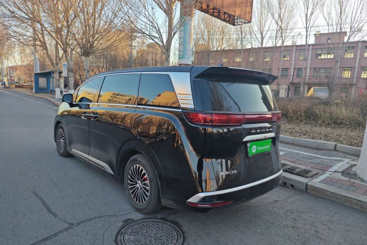 腾势D9 2024款 DM-i 1050 尊享型车身外观6005