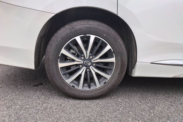 广汽传祺 传祺M8 2023款 领秀系列 390T 豪华版车身外观6009