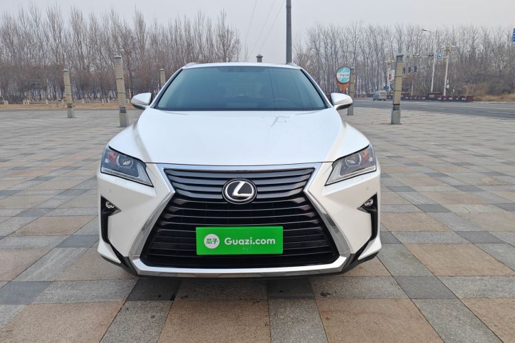 雷克萨斯RX 2016款 300 两驱精英版 国V车身外观6001