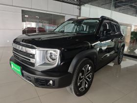 哈弗大狗 2024款 1.5T DCT边牧版