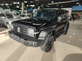 坦克300 2021款 越野版 2.0T 征服者