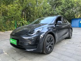 特斯拉 Model Y 2024款 后轮驱动版