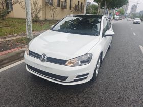 大众 高尔夫 2014款 1.6L 自动舒适型