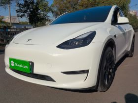 特斯拉 Model Y 2024款 长续航全轮驱动版