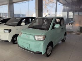 安徽猎豹 猎豹CS01 EV 2024款 实用型