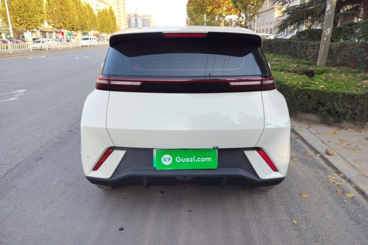 比亚迪 海鸥 2023款 活力版车身外观6004