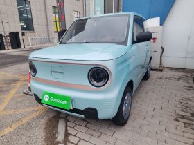 吉利银河 2024款 熊猫mini 200km 耐力熊