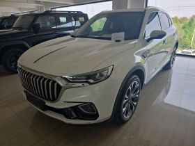 红旗HS5 2019款 2.0T 智联旗领版