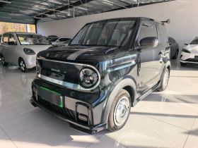 吉利银河 2025款 210km 熊猫卡丁